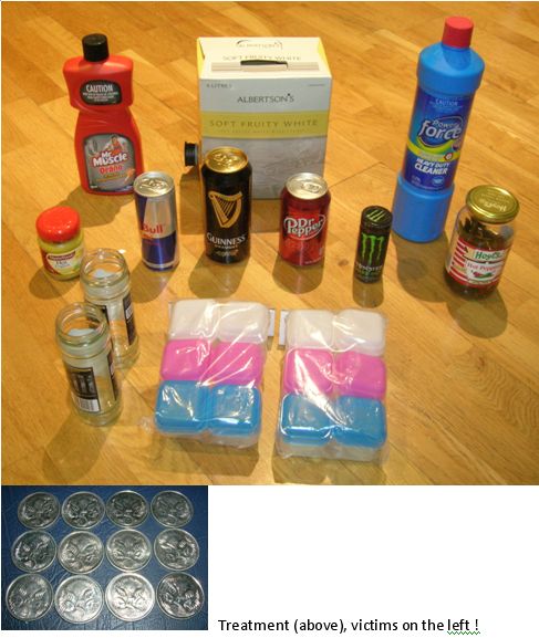 Bucket-Chemistry---Recreating-A-